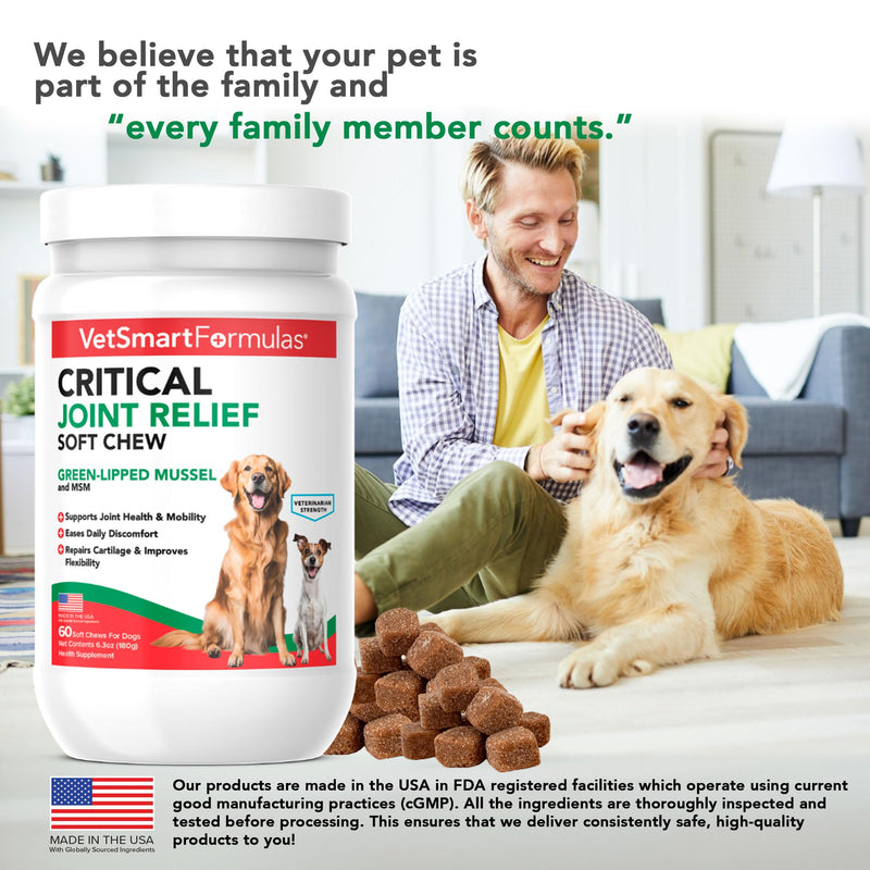 VetSmart Formulas Critical Joint Relief Soft Chew for Dogs – Hip & Joint Supplement with Glucosamine, MSM, Green-Lipped Mussel – Joint Discomfort, Hip Dysplasia & Mobility Support, Made in USA Soft Chews 60 Soft Chews