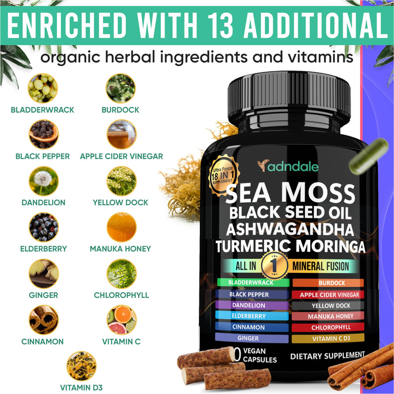 Adndale Sea Moss Capsules - Sea Moss Blend with Ashwagandha, Turmeric & Black Seed Oil - 90 Count 90 Count (Pack of 1)