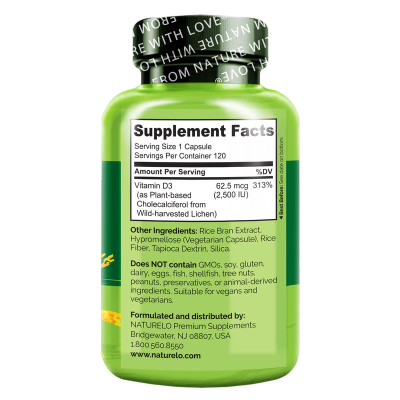 NATURELO Vitamin D3 2500 IU, Joint Support & Bone Health, 120 Count | Vegan D3 Supplement, Vitamin D Supplements for Immune System, Plant-Based Capsules, Non-GMO, Gluten Free Unflavored 120 Count (Pack of 1)
