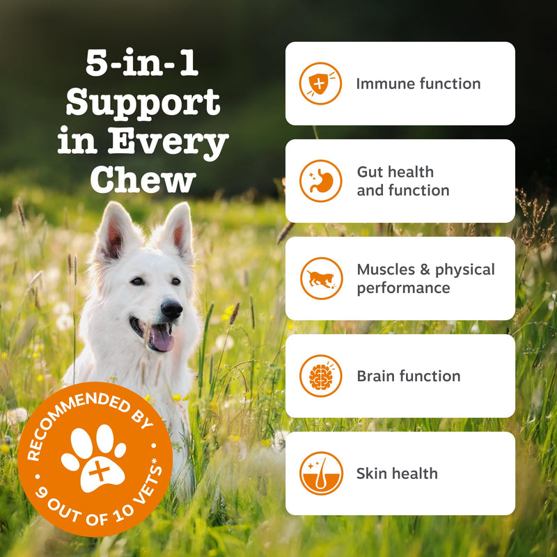 Zesty Paws 5in1 Multivitamins for Dogs | Supports Skin & Gut Health, Brain Function, Immune System, Physical Performance | With Vitamin A, B & C, Folic Acid, Biotin, L-Carnitine | Daily Use | 90 Chews Adult