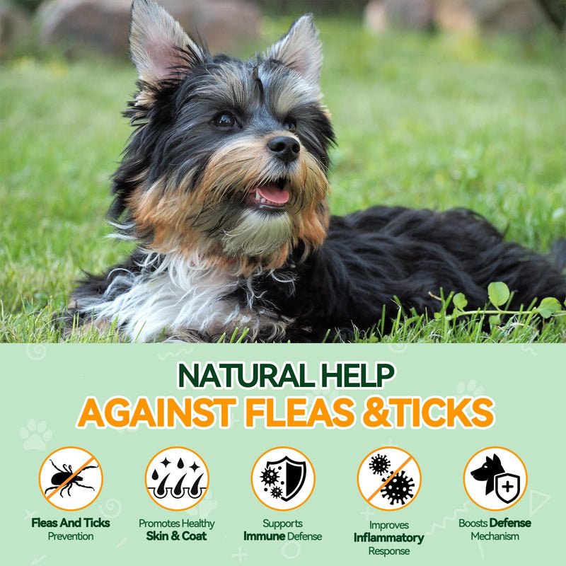 Lawn Spot & Flea Chews for Dogs - 200 Each - Flea & Tick Prevention with Skin Support + Grass Burn Spot Chews with Probiotics & DL-Methionine - Chicken Flavor