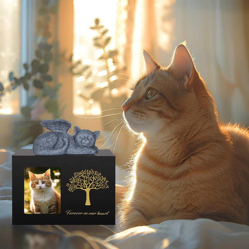 DiDiBirDi animal urns for cats, pet cremation box, cat urn for ashes, black cat urns made of wood for ashes, comes with a cat angel statue made of resin and a velvet bag for storage set 1 - BeesActive Australia