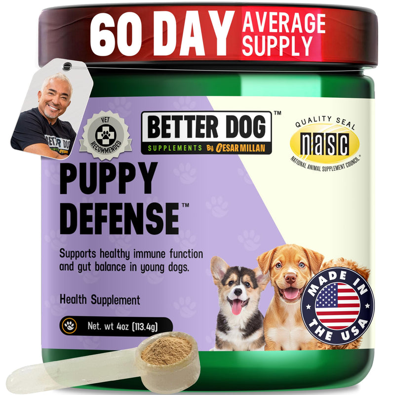 Better Dog Supplements by Cesar Millan® Puppy Defense – Natural Immune Support Powder for Young Dogs – Immunity, Gut Balance, Digestive Health & Early Wellness – 4oz, (60-Day Supply)