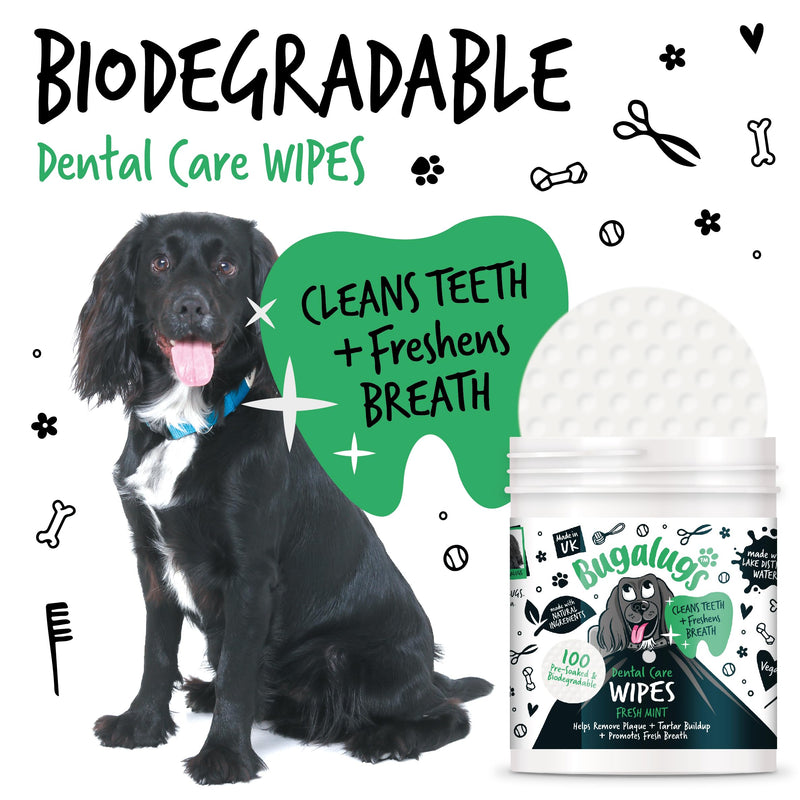 Bugalugs Breath Freshener - Plaque & Tartar Remover Wipes (No Toothbrush/Toothpaste Needed, 100 Wipes) 1 count (Pack of 100)