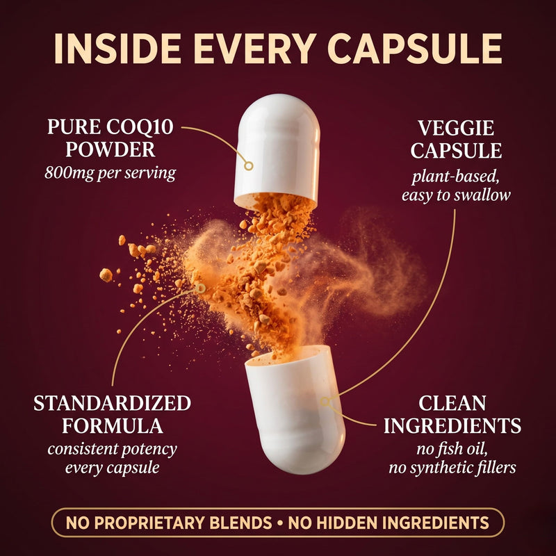 CoQ10 800mg, Coenzyme Q10 Supplement, 120 Vegan Capsules 800 mg 1 Count (Pack of 120)
