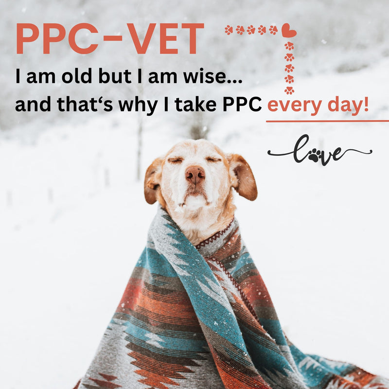 PPC-Vet Polyunsaturated Phosphatidylcholine Liver and Brain Health Supplement for All Sized Cats and Dogs 1000mg PPC / 5mL - Liposomal Liquid 8 oz - PawsPlanet Australia