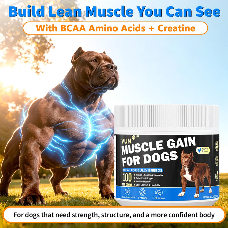 Muscle Gain Power Soft Chews for Dogs– Dog Weight Gainer Treats with BCAA Amino Acids for Muscle Build,Growth & Recovery, L-Arginine & L-Glutamine,for Bully & All Breeds,100 Counts