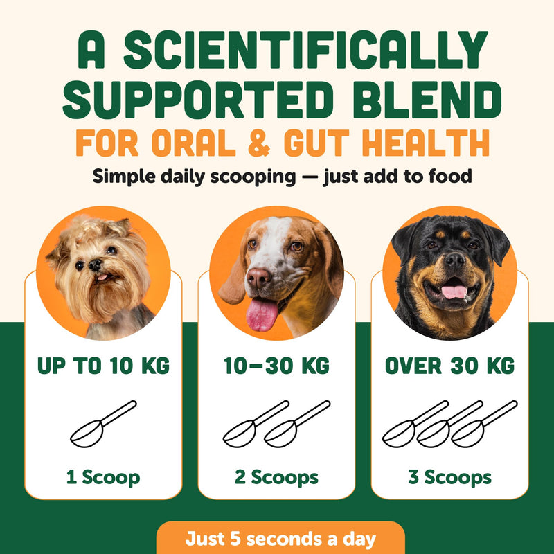 Plaque Off Powder for Dogs | Dogs Dental Powder for Teeth Cleaning, & Tartar Removal – Seaweed Plaque Remover with Probiotics for Gut Health & Fresh Breath – Up to 150 Days Supply