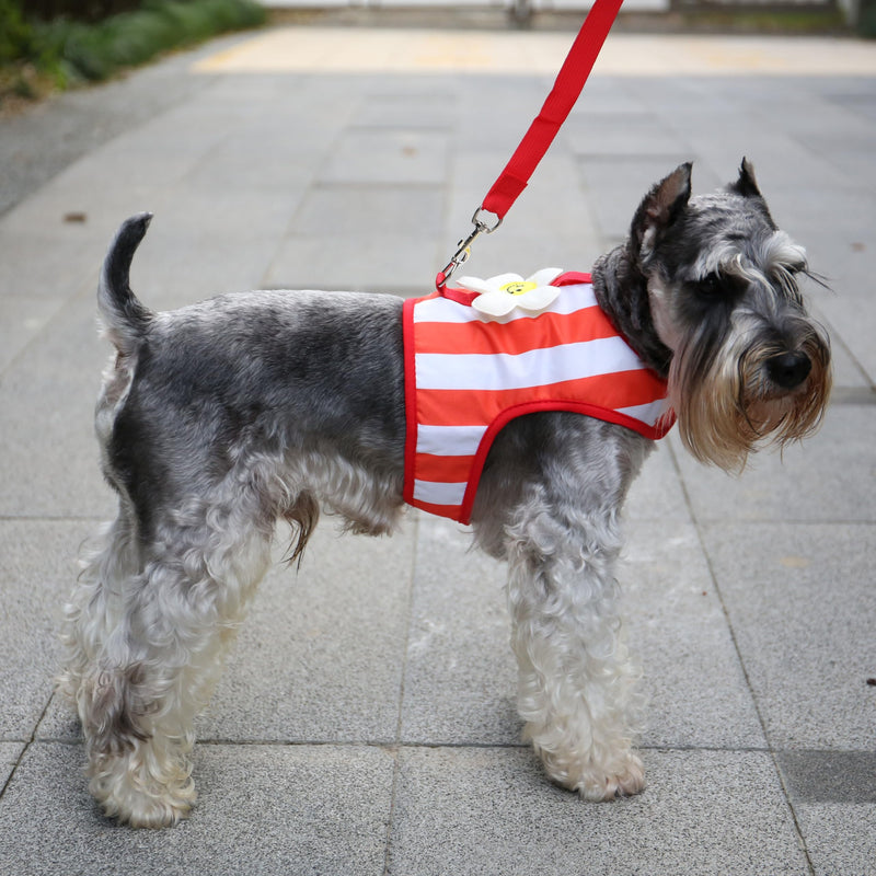 Sunflower Dog Harness with Leash Set, Dog Harness for Small Dogs, Adjustable Lightweight,Red,M Medium(6.5-9 lbs) red - BeesActive Australia