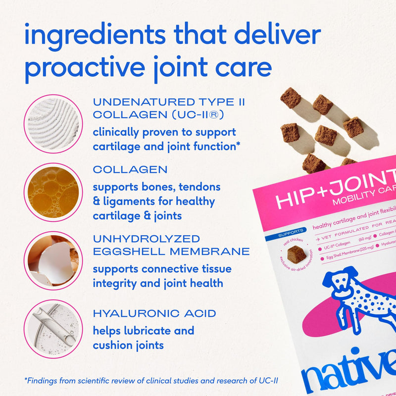 Native Pet Mobility & Radiance Pack: Hip & Joint Supplement for Dogs - Helps Maintain Healthy Cartilage & Flexibility - 60 Chews & Omega 3 Fish Oil for Dogs for Healthy Skin, Coat & Joints - 8 Oz