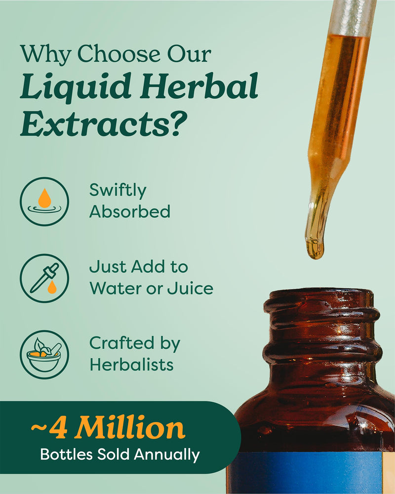Herb Pharm Certified Organic Mullein Blend Liquid Extract for Respiratory System Support - 1 Ounce 1 Fl Oz (Pack of 1)