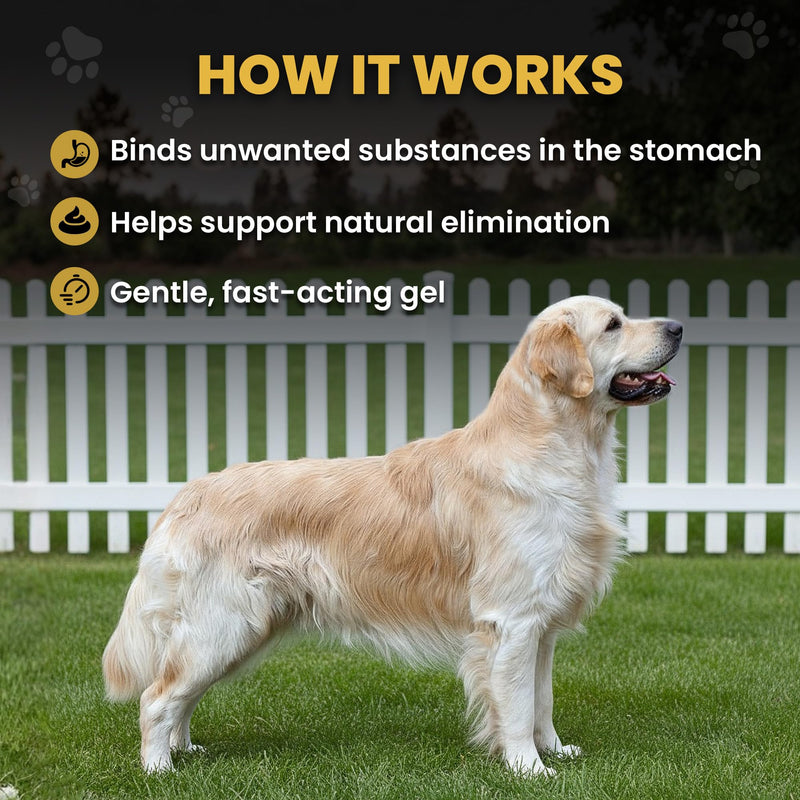 Activated Charcoal Gel for Dogs & Cats – Pet First Aid & Emergency Use, Fast-Acting Digestive & Toxin Support, Salmon Flavored Oral Syringe with Vitamin C, 60mL