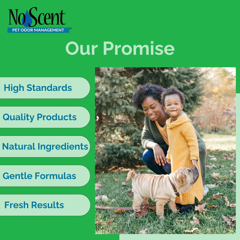 No Scent Reptile Tank Cleaner Spray & Pet Odor Management for Bearded Dragon, Turtle, Lizard Terrarium Freshener (2 Fl Oz / 59 mL) 2 Fl Oz (Pack of 1) - PawsPlanet Australia