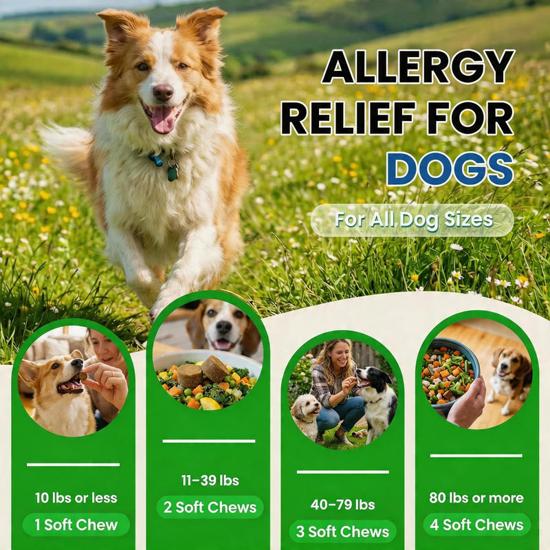 Dog Allergy Chews 200 Ct - Itch Relief for Dogs Immune Support with Colostrum Probiotics & Omega 3 - Seasonal Allergies Anti-Itch Skin & Coat Supplement, Itchy Skin & Paw Relief Bites - Beef Flavor