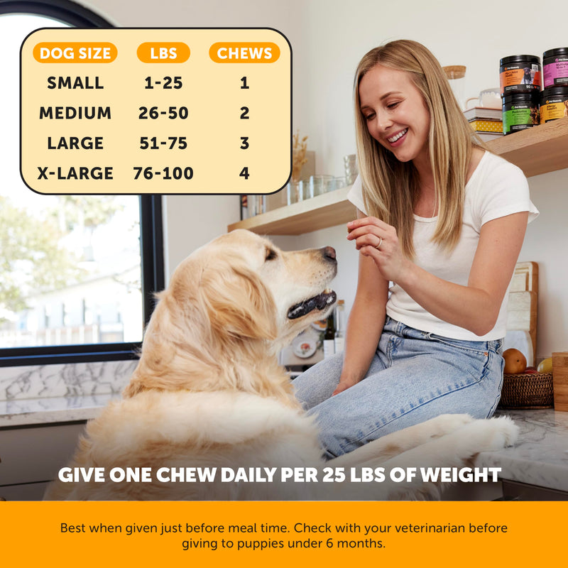 Pet Honesty Dog Wellness Virtual Bundle – Allergy Relief Immunity Chews (90 Ct) + Brush Buddies Dental Sticks for Large Dogs (8 Ct) – Itch Support, Plaque & Breath Care