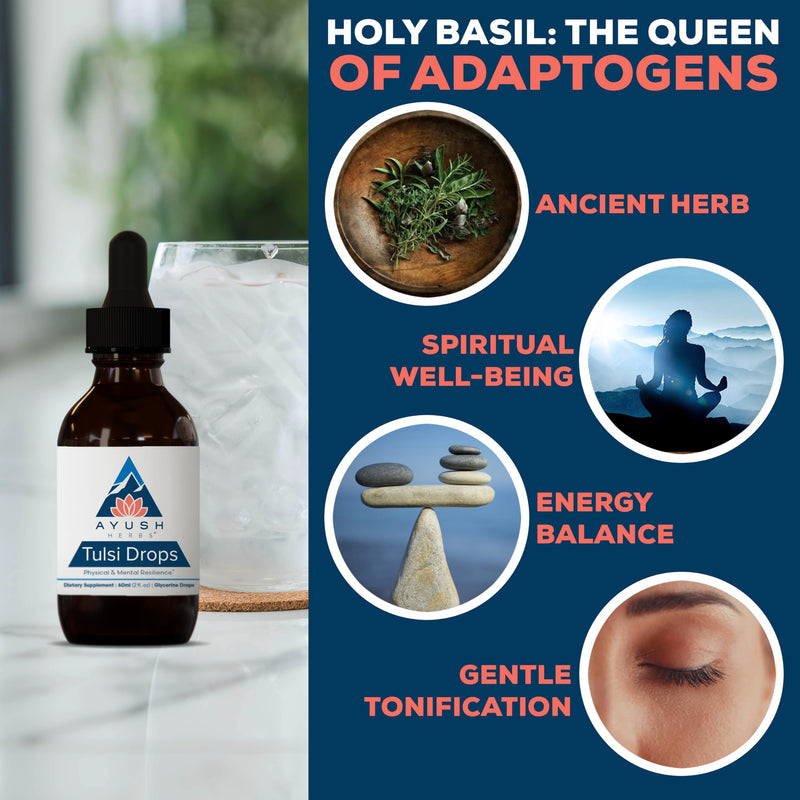 Ayush Herbs Tulsi Drops - Alcohol-Free Tulsi Drops, Holy Basil Gylcerite, Natural Immune-Support Drops for Kids & Adults, Calm & Focus Booster - 2 Fl Oz (80 Servings) - BeesActive Australia