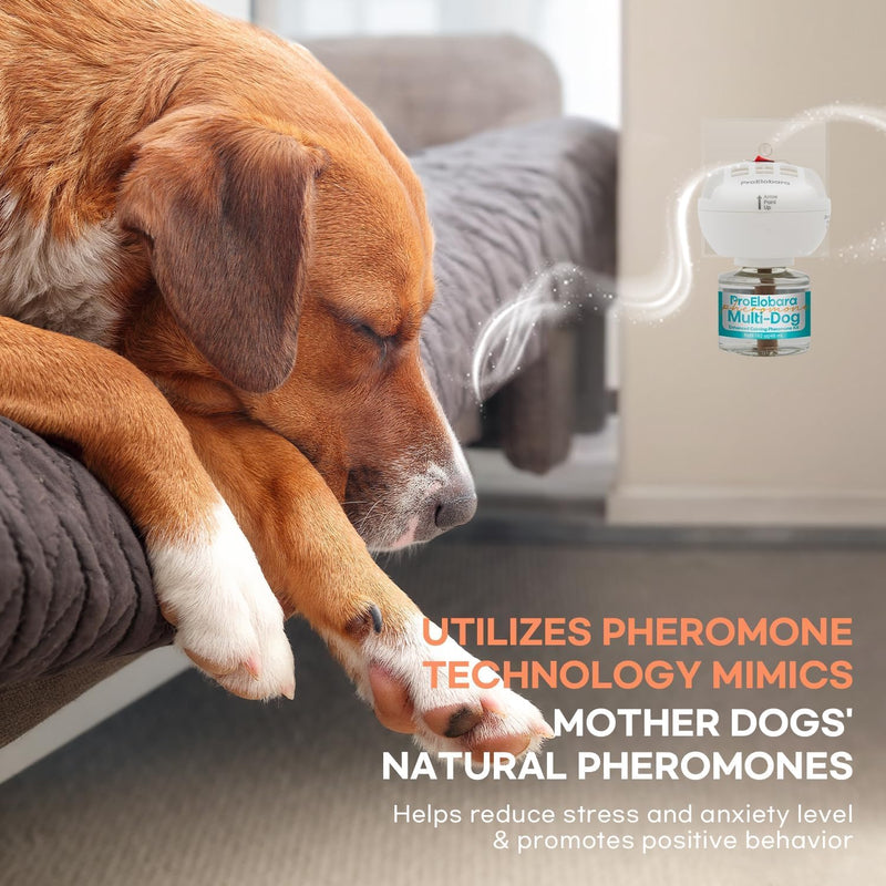 Dog Calming Pheromone Plug Diffuser: Dog Calming Pheromones Diffuser - Reduces Stress & Anxiety Calming Pheromone Diffuser for Dogs - Calm Dogs 60 Supply