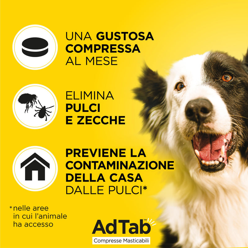 AdTab chewable tablets for dogs from 2.5 - 5.5 kg - 3 tablets dog 2.5kg - 5.5kg - BeesActive Australia