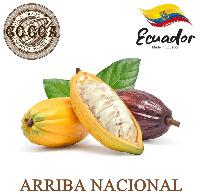 Plant Guru Raw Cocoa Butter 16 oz. / 1 lb. 100% Pure Unrefined FOOD GRADE Arriba Nacional Cacao Bean, Bulk Rich Chocolate Aroma For Lip Balms, Stretch Marks, DIY Base For Body Butters & Soap Making 16 Ounce (Pack of 1) - BeesActive Australia