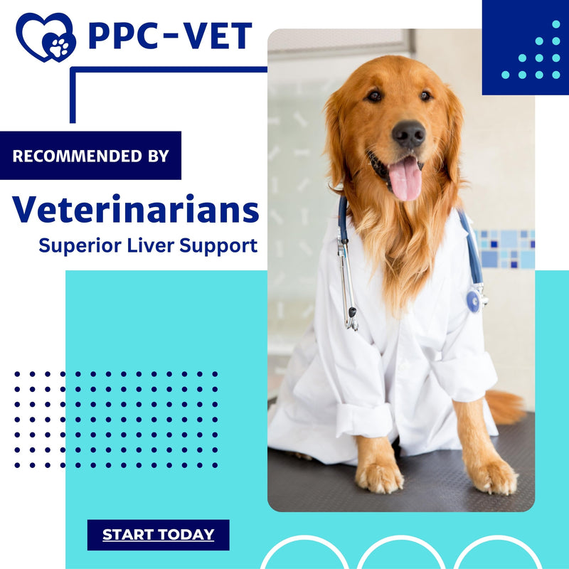 PPC-Vet Polyunsaturated Phosphatidylcholine Liver and Brain Health Supplement for All Sized Cats and Dogs 1000mg PPC / 5mL - Liposomal Liquid 8 oz - PawsPlanet Australia