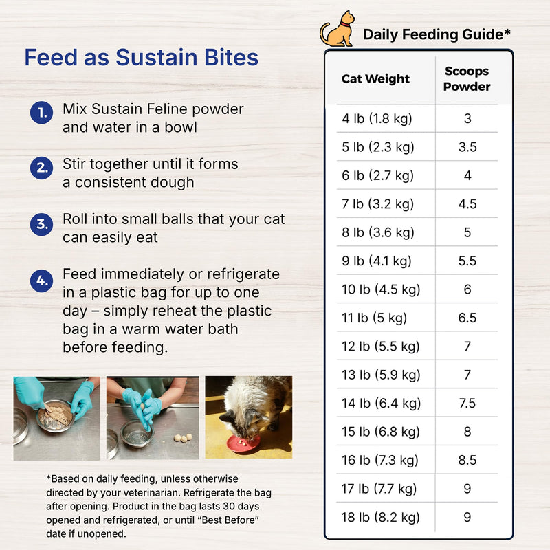 Sustain Feline Recovery Food for Cats 100 g 3.53 Ounce (Pack of 1) - BeesActive Australia
