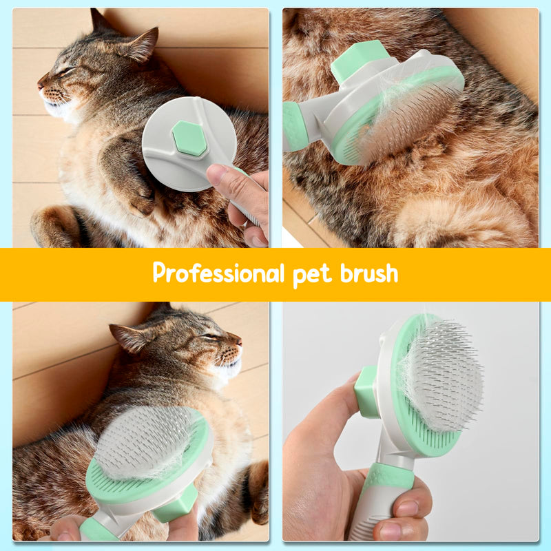 3PCS Cat Grooming Kit,Cat Brushes for indoor Cats with Cat Nail Clipper & Nail File,Self Cleaning Slicker Brush for Dogs & Cats(Green) GREEN - BeesActive Australia