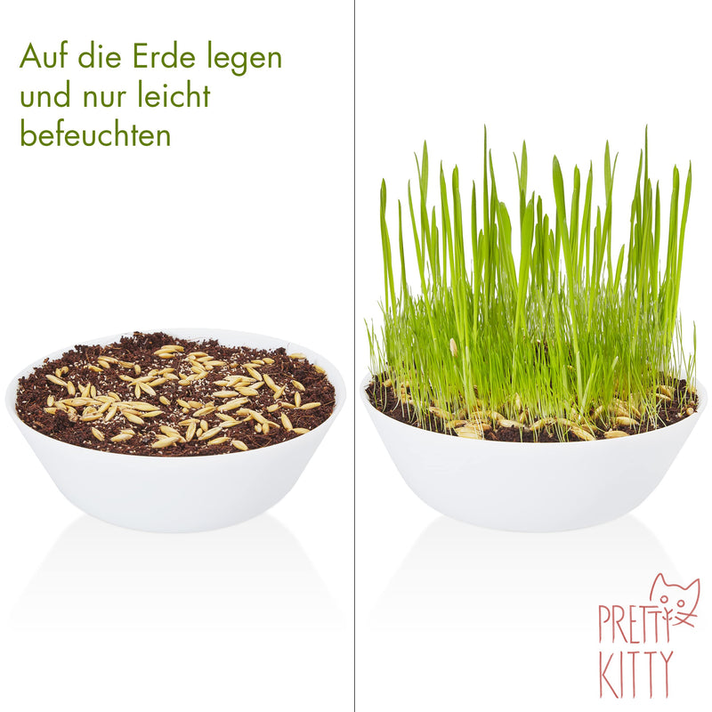 PRETTY KITTY cat grass seeds: 1 bag of 25g cat grass seeds for 10 pots of finished cat grass - natural cat treats - plant seeds - grass seeds - seeds for cat grass - cat grass 25 g (pack of 1) - BeesActive Australia