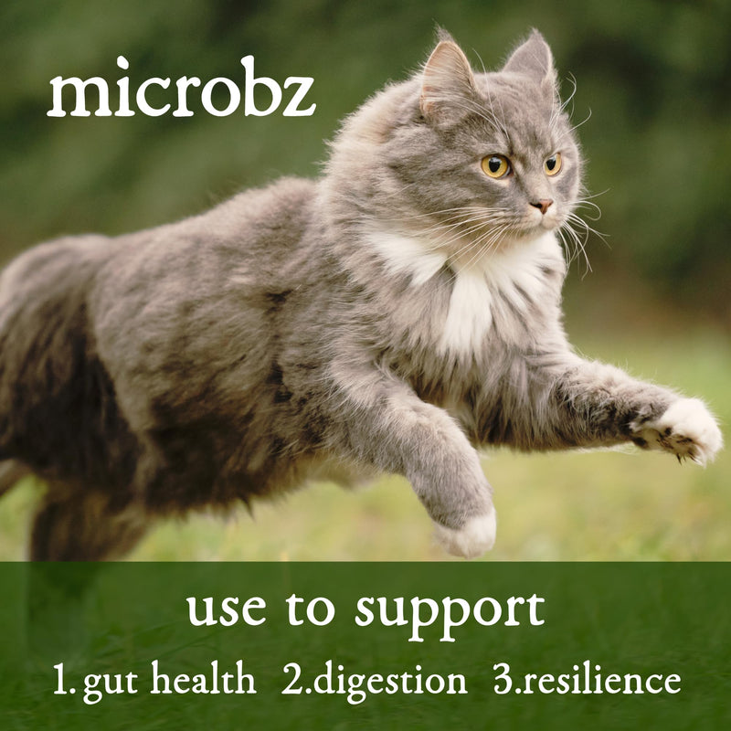 MICROBZ CAT NUTRITION | 1 Litre | Liquid Beneficial Microbes for Cats Gut Digestive Health & Coat Care – Gluten & Dairy Free, 100% Natural - Up to 100 Servings