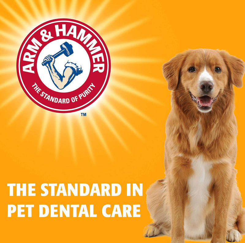 Arm & Hammer for Pets Fresh Breath Enzymatic Dog Toothpaste Vanilla Ginger Flavor Baking Soda Dental Gel Eliminates Bad Breath Safe Puppies Adult Dogs Daily Use 2.5 OZ 2 Pack Dogs and Puppies 2.5 Ounce (Pack of 2)