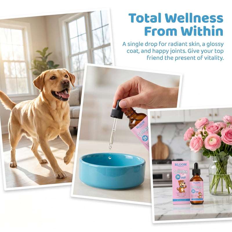 Collagen for Dogs, Premium Liquid Collagen for Dogs, Support for Skin & Joints & Gut & Overall Vitality, 60ml/2floz