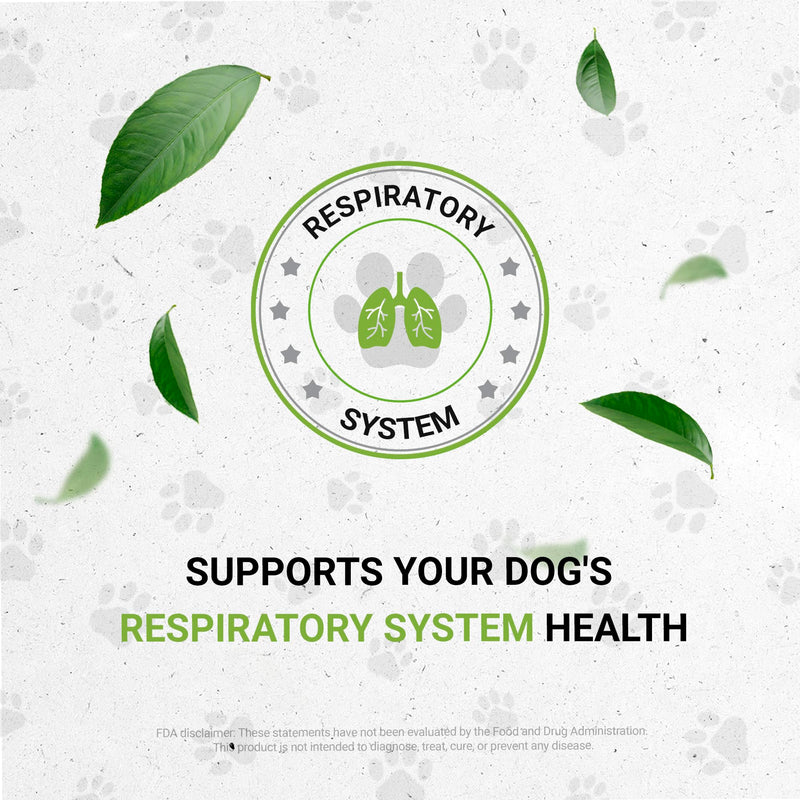 Wolf's Respiratory | Natural Herbal Dietary Supplement | Healthy Respiratory System Support in Dogs | Alcohol-Free Extract, Marshmallow Leaf, Astragalus, Chamomile, Calendula, Oregon Grape 2 oz - PawsPlanet Australia