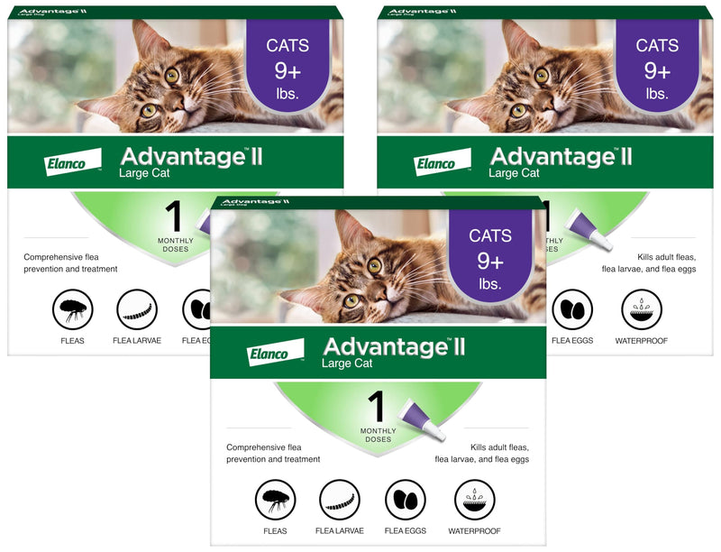 Advantage II Large Cat Vet-Recommended Flea Treatment & Prevention | Cats Over 9 lbs. | 1-Month Supply (Pack of 3) 3-Pack