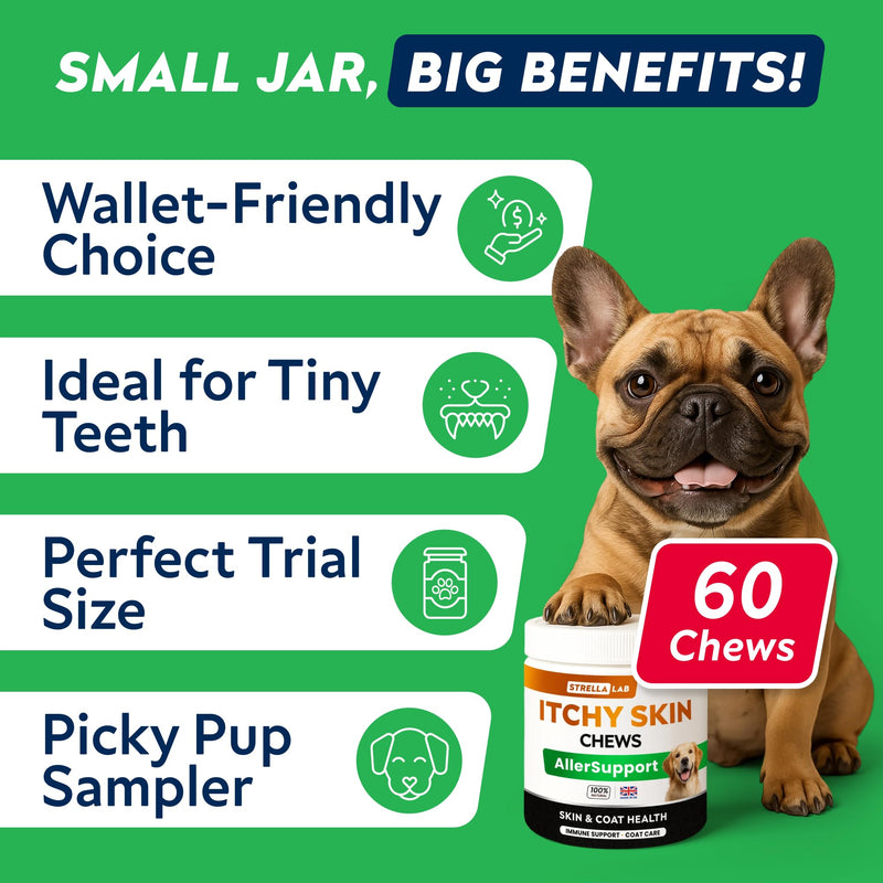 STRELLALAB Allergy Support Chews for Dogs with Omega 3 Fish Oil - Itchy Skin Support Immune Supplement - Skin & Coat Health - Made in UK - Stop Itch & Hot Spots - Pork Flavor - 60ct 60 Soft Chews