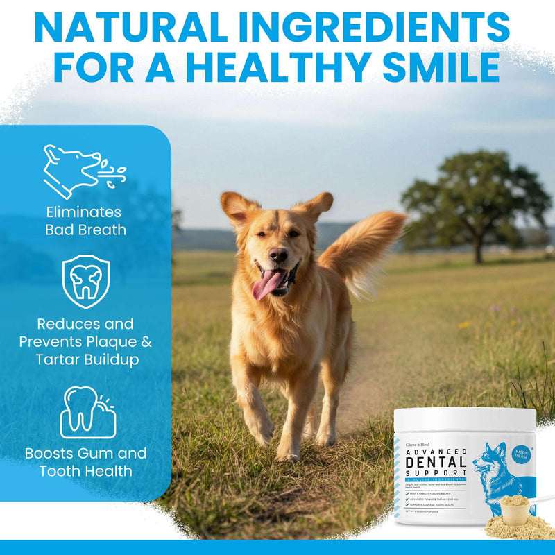 Advanced Dental Powder for Dogs - 4oz of Teeth Cleaning Powder with Scoop for Tartar, Bad Breath, Biofilm, Gum, and Tooth Health - Brown Algae, Kelp, Parsley, Green Tea, Probiotics - Made in USA