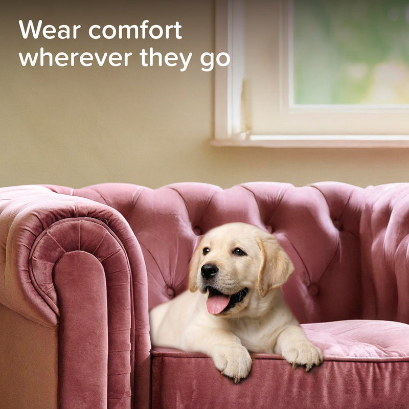 Beaphar - CaniComfort® Calming Collar For Puppies – Reduces Stress & Anxiety – Pheromone Calming for Puppies – Long-Lasting Up To 4 Weeks – Ideal for Anxious Dogs & Long-Term Stress – 1 x 45cm Collar
