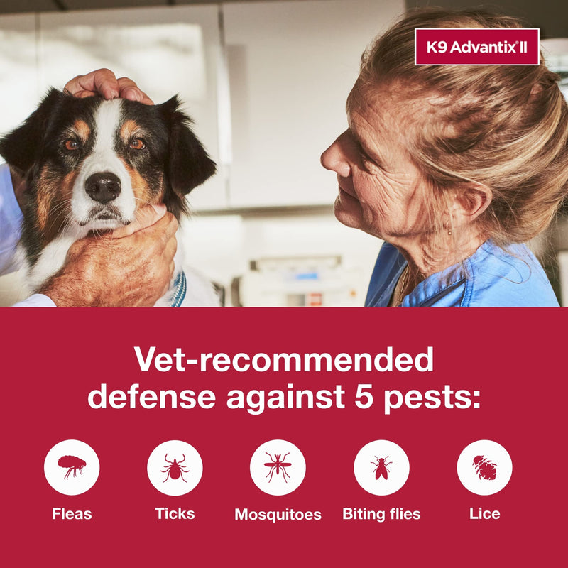 Bundle of K9 Advantix II Large Dog | 2-Mo Supply + Pet Protect Skin Health Soft Chews for Dogs, 60 Count