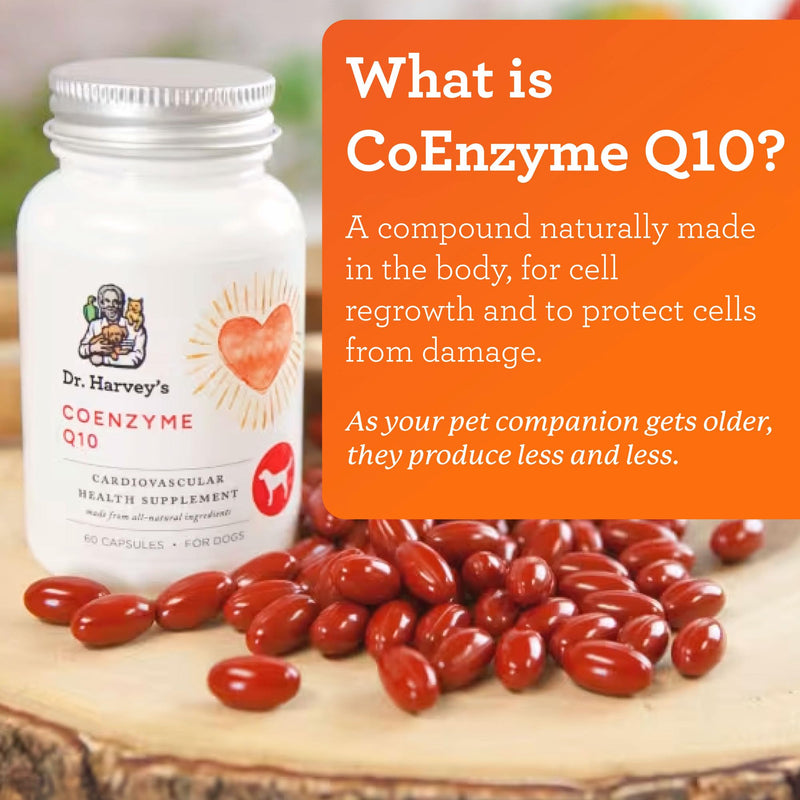 Dr. Harvey's Coenzyme Q10 - Heart & Cardiovascular Support Supplements for Dogs, 60 Capsules - BeesActive Australia