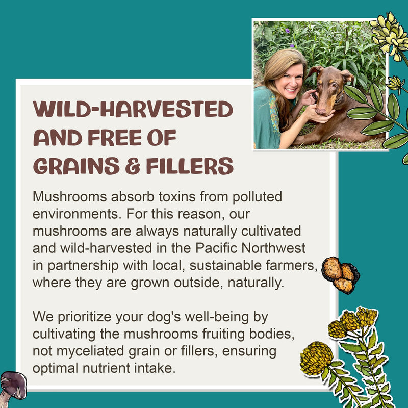 MycoDog Chaga Mushroom Supplement for Dogs - Immune Defense & Antioxidant Support - Natural Vitality & Wellness Drops