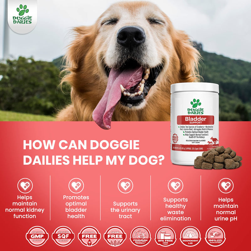 Doggie Dailies Cranberry Supplement for Dogs, 225 Soft Chews, Urinary Tract, Bladder & Kidney Support for Dogs, Cranberry for Dogs with Marshmallow Root, Licorice Root & Apple Cider Vinegar (Chicken) Chicken - BeesActive Australia