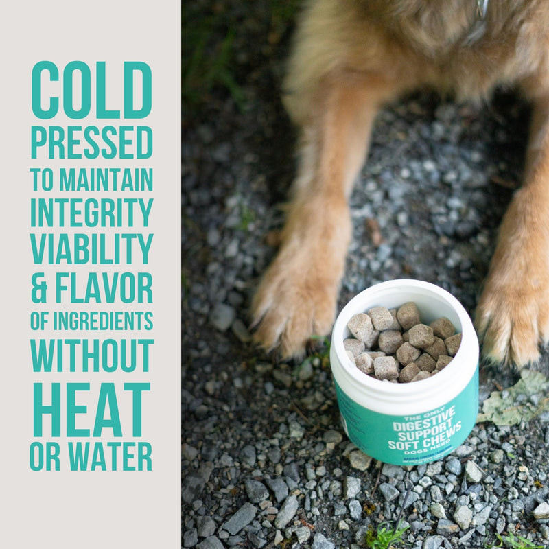 Natural Rapport Dog Digestive Supplement - The Only Digestive Support Soft Chews Dogs Need - 120ct Treats that Contain Probiotics and Enzymes to Support Digestion and Gut Health Digestive Chew