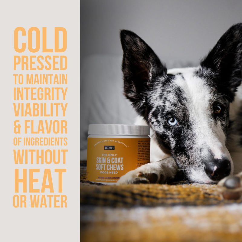 Natural Rapport Dog Skin and Coat Supplement - The Only Skin and Coat Soft Chews Dogs Need - 120ct Treats that Contain Salmon Oil and Omegas 3, 6, & 9 Skin Health Chew