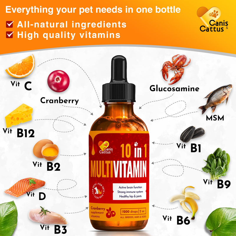 Liquid Cat & Dog Vitamins – Dog Antibiotics for All Pets – Bundle of 10 in 1 Cat & Dog Multivitamin + Antibiotic Supplement – Cough, Allergy, Sneezing, Joint Care – Vitamin C, D, B – Bottle Set x 2 oz