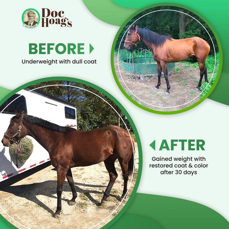 Original Udder Balm Doc Hoag’s Aloe Vera+Agave Premium Horse Supplement for Gut Health, Natural Equine Gastric Support & Stress Relief, Support Ulcer Improvement for Horses and Other Large Animals 16 Fl Oz - BeesActive Australia