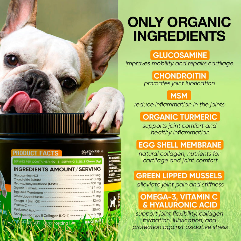 Glucosamine for Dogs – Hip and Joint Supplement Chews for Small, Medium & Large Dogs – Joint Pain & Mobility Support – Soft Chews for Pain and Inflammation Relief, 45 Chews