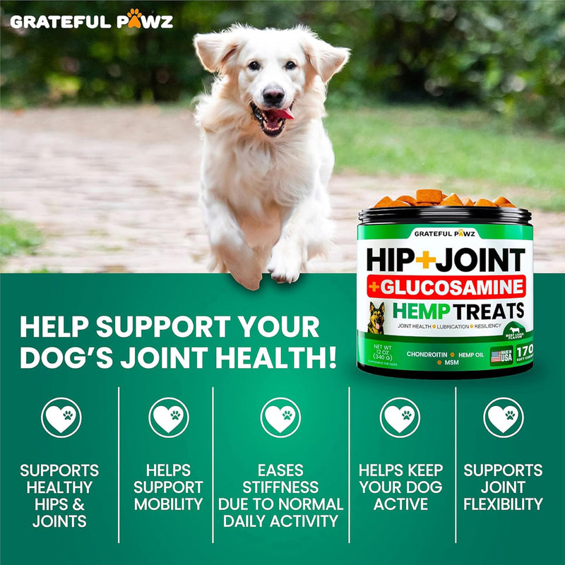 Grateful Pawz Hemp Hip and Joint Supplement for Dogs - Glucosamine for Dogs - 160 Joint Pain Relief Treats - Chondroitin, MSM - Advanced Health Supplement - Beef Liver Flavor - Made in USA 160 Chews