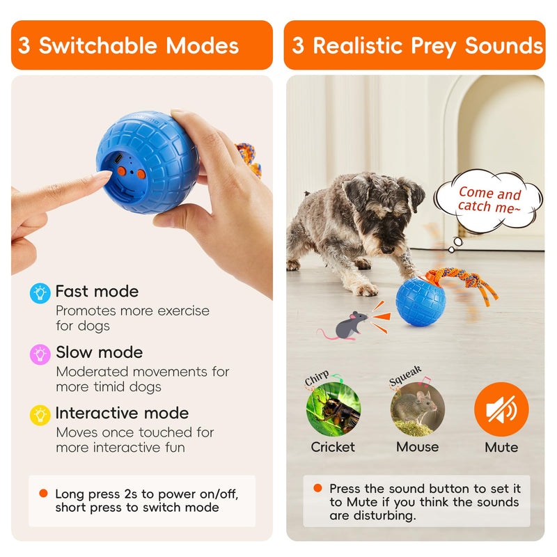 Potaroma Interactive Dog Ball Toys Touch Activated, Rechargeable Animal Sound Dog Toy, Durable Moving Ball for Pup with Chewing Rope for Dogs Puppy, Blue - BeesActive Australia