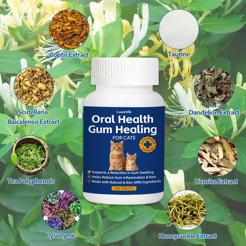 Oral Health for Cats, Cat Gingivitis Treatment, Reduce Gum Inflammation, Redness & Pain, Combats Gum Disease, Natural Plant-Based Active Formula, Cat Oral Care, Gums Health Treatment
