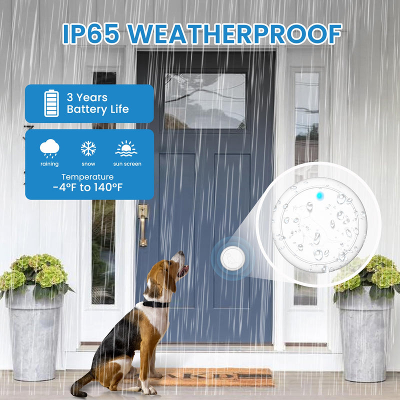 Dog Bell for Door Potty Training, Wireless Doggie Door Bell Operating at 1000 Feet with IP65 Waterproof Touch Button, 32 Melodies 1 receiver + 2 buttons - BeesActive Australia