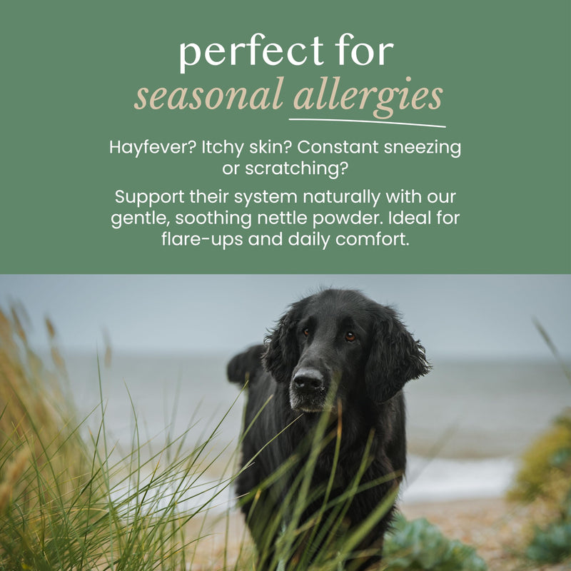 Pure & Natural Nettle Powder for Dogs and Cats – Soothes Itching, Licking and Sneezing – Pet Remedy For Year-Round Dog Allergy Relief and Sensitivities – 125g, over 170 servings, £0.08/serving