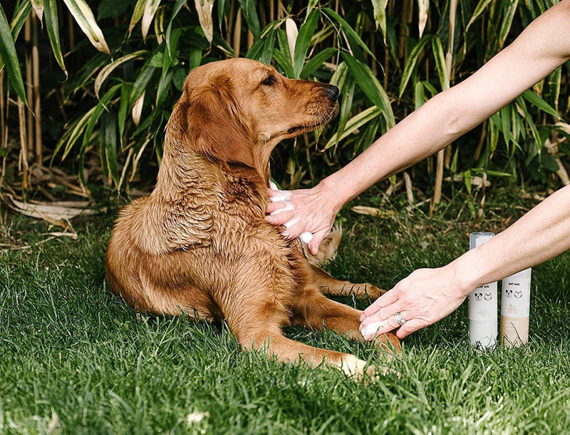 Dry Wash - Shampoo for Pets - Soothing & Deodorizing, Natural Ingredients, Quick Drying & No Rinse Required (Aloe Vera and Oatmeal) Aloe Vera and Oatmeal - BeesActive Australia